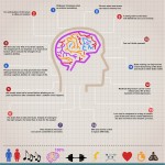 INFOGRAFIC_CEREBRO